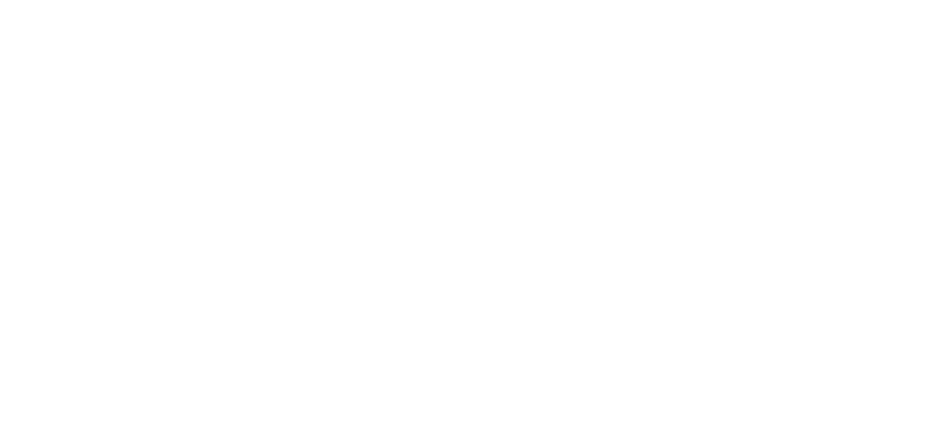 Growth System Consulting